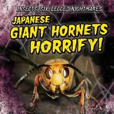 Japanese Giant Hornets Horrify (Insects: Six-Legged Nightmares) - GOOD