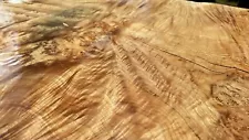 Big Leaf Maple Burl Live Edge. Incredible Slab 60”x 38” X 2 1/2”