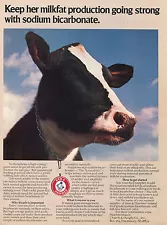 1980 Arm & Hammer Dairy Cow Milkfat Production Print Ad Sodium Bicarbonate