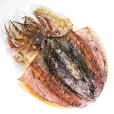 Dried Cuttlefish Large 500g Premium Seafood & Aquatic Products 特级海鲜水产淡晒干