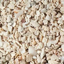 crushed coral for sale