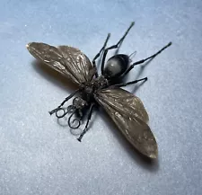 Hymenoptera Sp. Pepsis 70mm Wingspan, Tarantula Hawk Wasp Tucson AZ Pompilidae