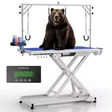 Electric Dog Grooming Table with Pet Scales, 50'' Professional Pet Grooming T...