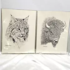 Lynx Bison Prints 9" x 12" J. Sharkey Thomas 1973 Canada Pepper House Fine Arts