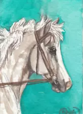 ACEO original Watercolor Art Card HORSE silver dapple ridden Welsh Pony mare