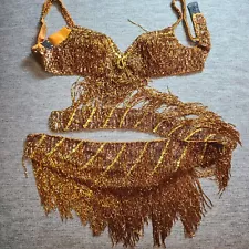 Professional Glass Beaded Handmade 2-Piece Belly Dancing Costume Gold and Brown