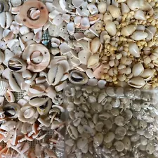 Sea Shell Junk Jewelry Mixed Lot For Jewelry Making, Crafts