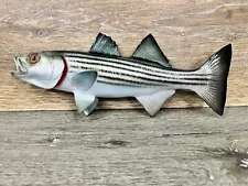 12 Inch Striped Bass mount Handcrafted By King Sailfish Mounts Florida