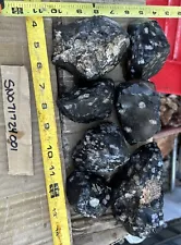 Snowflake obsidian rough 7 Piece Wholesale Lot