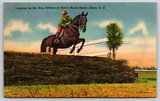 Aiken SC Jumping for the Blue Ribbon Aiken Horse Show Postcard