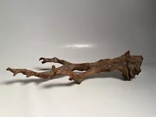 Driftwood Tree Trunk Aquarium Fish Tank Reptile Large 10” Piece Branch Water HTF