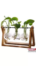 XXXFLOWER Plant Terrarium With Wooden Stand And 3 Bulb Vases, See Description