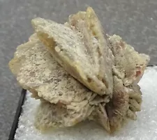 Quartz pseudomorph after Gypsum 'desert rose' Nebraska Mineral Specimen for Sale