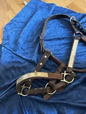 Western Style Leather And Silver Plated Show Halter And Leather Lead With Chain