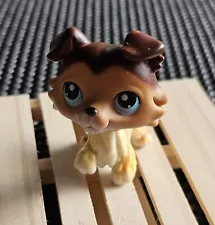 COLLIE DOG #58 - Authentic Littlest Pet Shop - Hasbro LPS