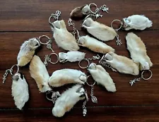 Real Rabbits Foot Key Chain with Charm Lucky