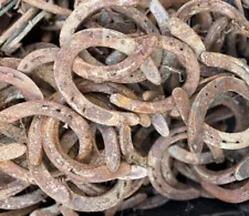 Lot Of 80 Used Horseshoes. Various Sizes Conditions. No Nails.