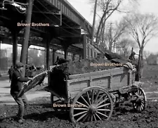 1910s Early Road Work & Repair Hard Work Horse & Cart Glass Camera Negatives (3)