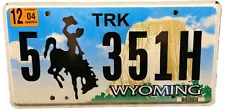 BLOWOUT SALE - Vintage Wyoming 2004 Devil's Tower Bucking ð Truck License Plate