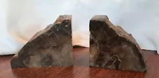 Vintage petrified wood bookends beautiful polished pair library decor