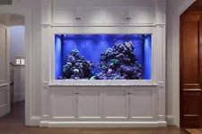 585 Gallon Custom Aquarium