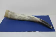 Vintage Rustic Bison Horn Trumpet Decorative 22" Long