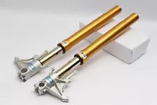 Ohlins Front Fork for DUCATI Monster S4RS