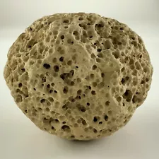 Nautical Decor Sea Sponge Pumice Rock Porous Limestone BB234