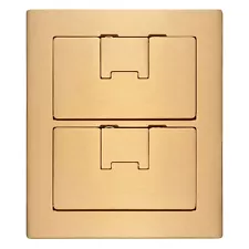 New Carlon E9762BR Two Gang Cover for 2 Carlon Rectangle Floor Boxes #E976RFB