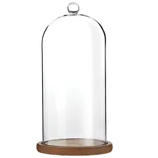 11 Inch Cloche Glass Dome with Base for Plants, Food, and Candles