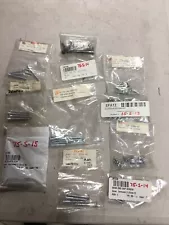 11 BAGGED & SORTED, MARKED BY LOCATION, SCREWS WASHER ETC FOR 1953-1962 CORVETTE