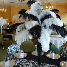 20/50pcs Wholesale Natural Ostrich Feathers 12"-14" Wedding Party Decoration DIY