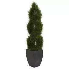 5’ Pond Cypress Tree In Planter UV Res(Indoor/Outdoor)