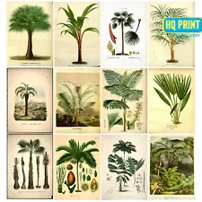 Vintage Botanical Prints Palm Tree Wall Flower Decor Leaf Flower Posters