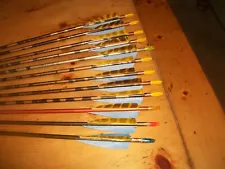 One Dozen Vintage 2016 Aluminum Arrows