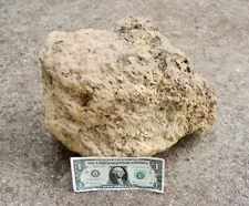 XXL Pumice Stone Volcanic Rock