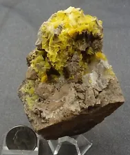 Wulfenite Crystals, Total Wreck Mine, Arizona - Mineral Specimen for Sale