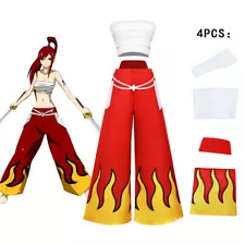 Fairy Tale Anime Erza Scarlet 4 Piece Cosplay Halloween Costume XS-3XL