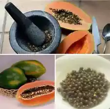 100% Organic Dried Papaya Seeds And Powder , Ceylon Herbal for Health