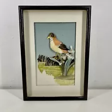 Real FEATHER 3D Collage BIRD PAINTING Under Glass Taxidermy VTG 60s Pink Audubon