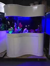 bow front aquarium for sale