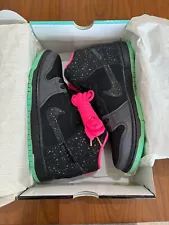 Nike Dunk High Premium SB 'Northern Lights' 313171-063 DS SZ 9.5