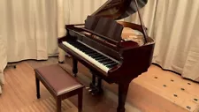 Samick Baby Grand Player Piano