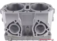 Genuine Kawasaki 2004-2011 Jet Ski 800 SX-R Engine Cylinder 11005-3760 Japan