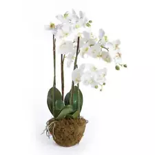 Hand-crafted Phalaenopsis Orchid 30 inch Tall Drop-In White