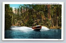 Jungle Cruise Boat Silver Springs,FL Marion County Florida Vintage Postcard