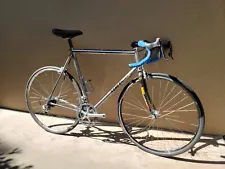 Merlin titanium road bike