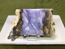 Blue Petrified Wood Slab/Slice