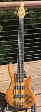 Pedulla Thunder Bass 5 String Birdseye Maple