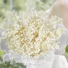 2500+ Dried BabyS Breath Flowers Bouquet - 17.2 Gypsophila Branches for Weddi